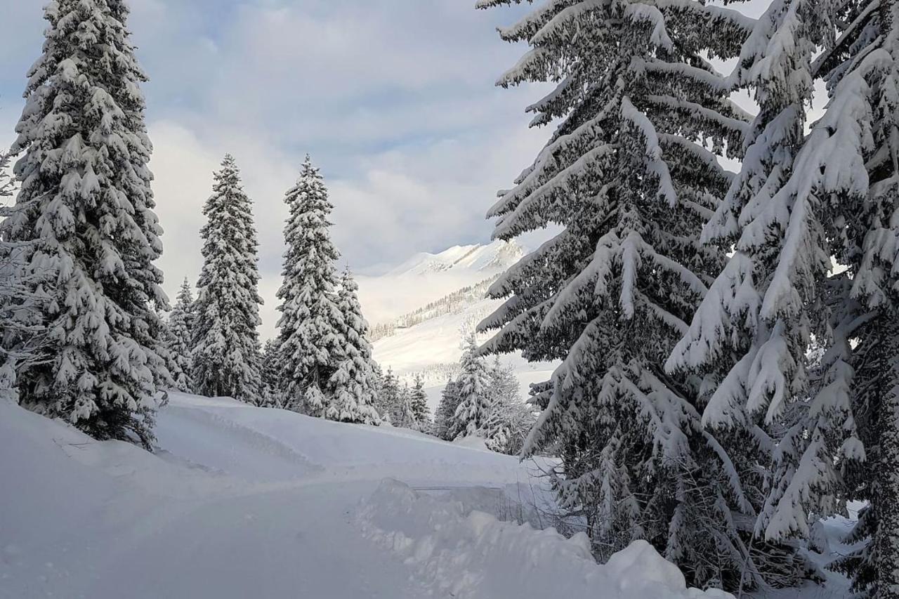Appartamento Les Grands Balcons De L'Etale Manigod Esterno foto